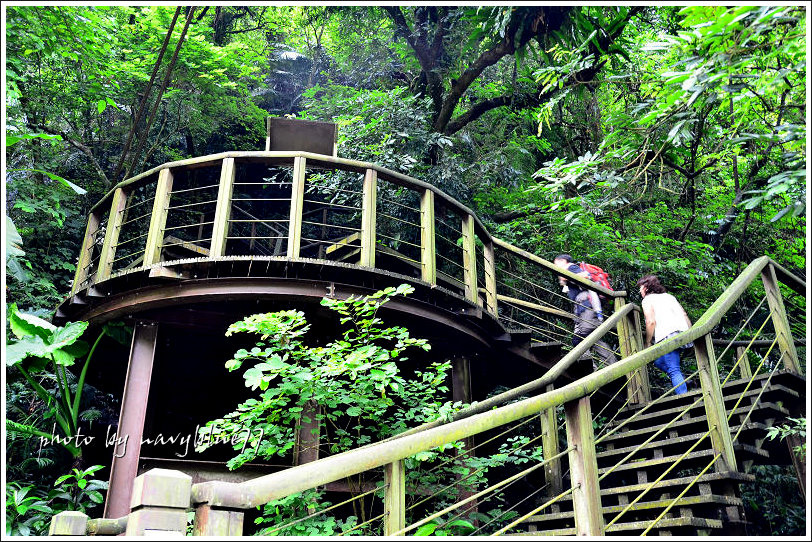 獨立山古道12.jpg 獨立山古道12.jpg