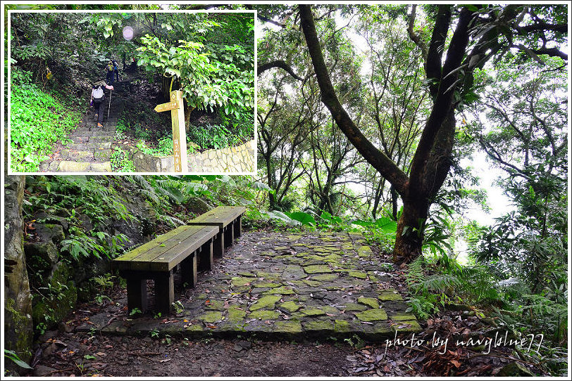 獨立山古道17.jpg 獨立山古道17.jpg