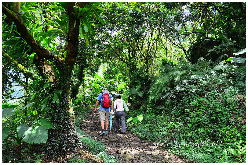 獨立山古道18.jpg 獨立山古道18.jpg