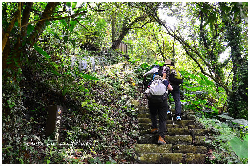 獨立山古道19.jpg