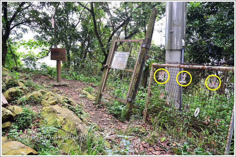 獨立山古道21.jpg 獨立山古道21.jpg