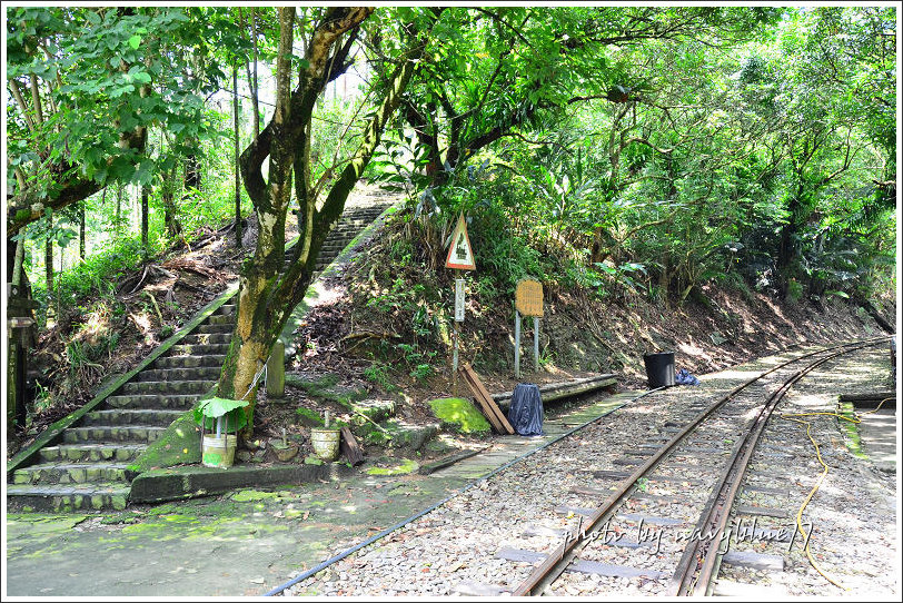 獨立山古道23.jpg 獨立山古道23.jpg