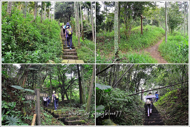 獨立山古道27.jpg 獨立山古道27.jpg