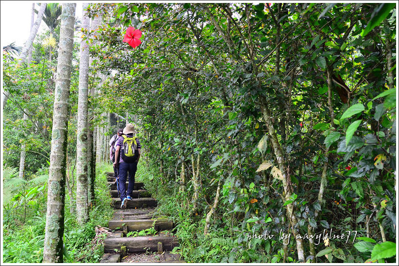 獨立山古道28.jpg 獨立山古道28.jpg