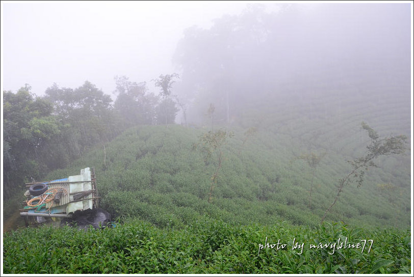 獨立山古道29.jpg 獨立山古道29.jpg
