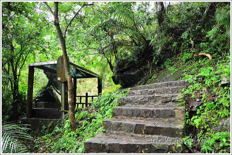 獨立山古道32.jpg 獨立山古道32.jpg