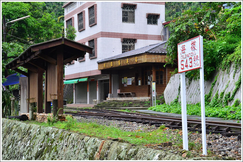 獨立山古道39.jpg 獨立山古道39.jpg