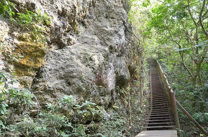 北柴山步道14.JPG