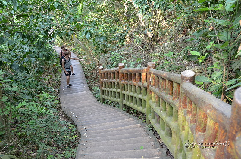 北柴山步道21.JPG