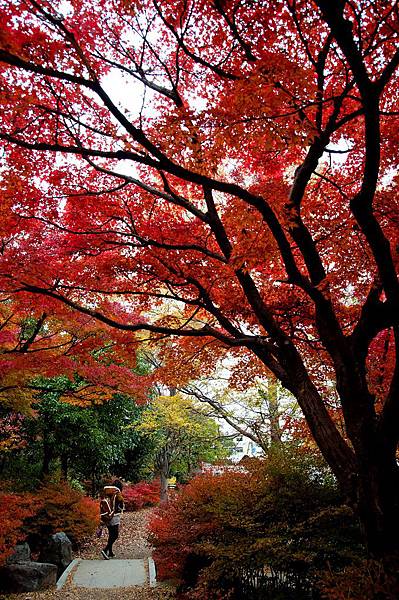 DSC_0150.jpg DSC_0150.jpg