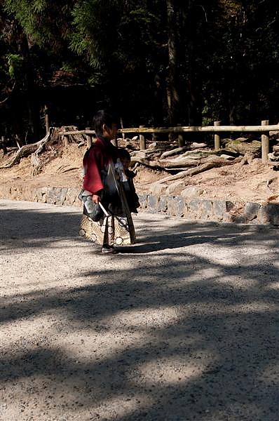 DSC_0912.jpg DSC_0912.jpg