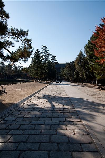 DSC_0809.jpg DSC_0809.jpg