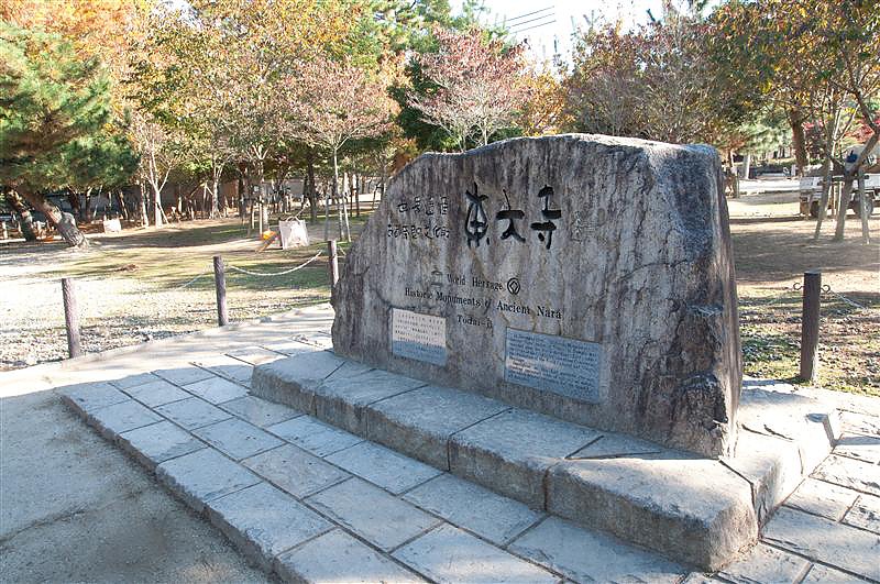 DSC_0773.jpg DSC_0773.jpg