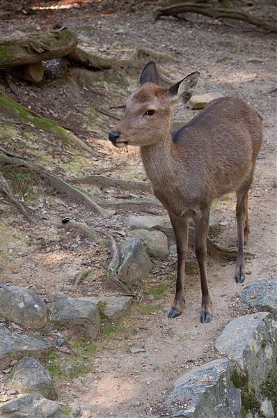 DSC_0908.jpg DSC_0908.jpg