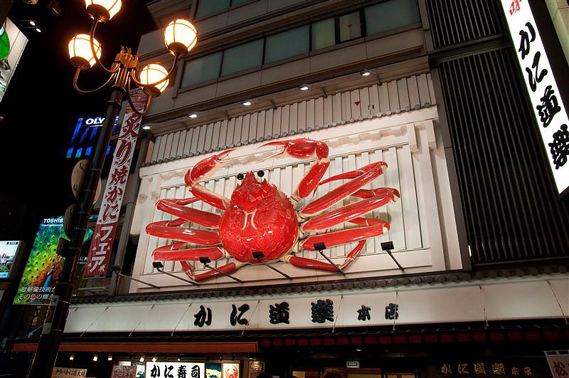 DSC_0981.jpg DSC_0981.jpg
