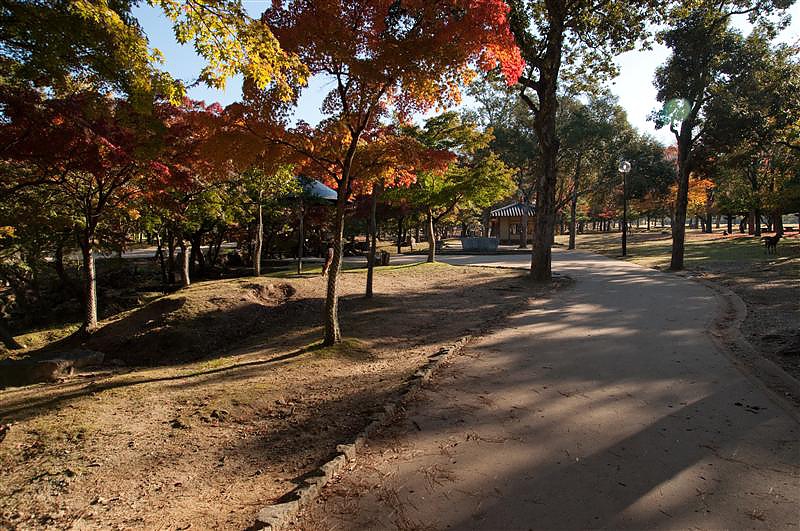 DSC_0768.jpg DSC_0768.jpg