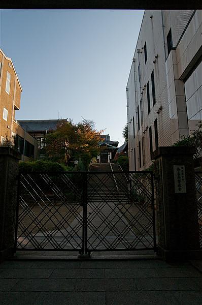 DSC_0721.jpg DSC_0721.jpg