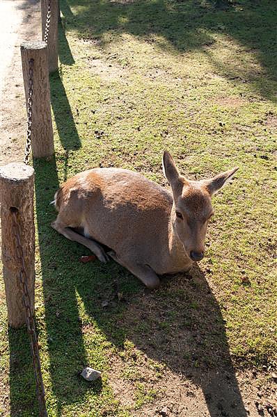DSC_0797.jpg DSC_0797.jpg