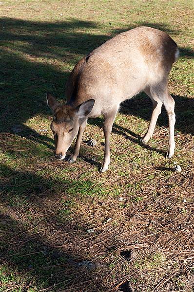 DSC_0738.jpg DSC_0738.jpg