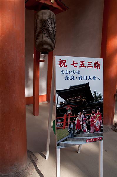 DSC_0877.jpg DSC_0877.jpg