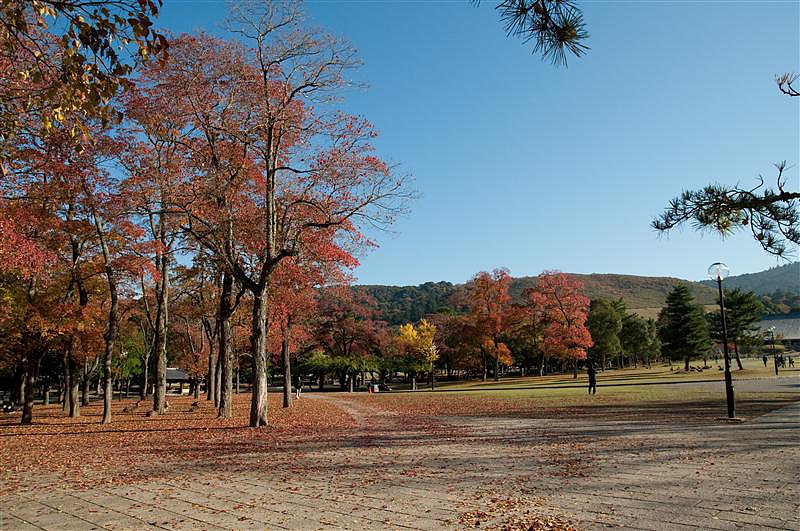 DSC_0758.jpg DSC_0758.jpg