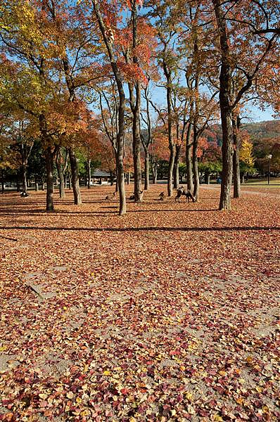 DSC_0760.jpg DSC_0760.jpg