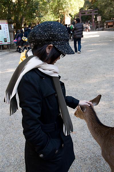 DSC_0902.jpg DSC_0902.jpg