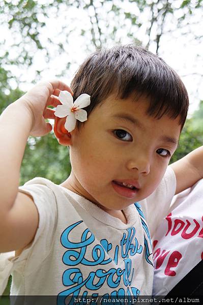 DSC03568 DSC03568
