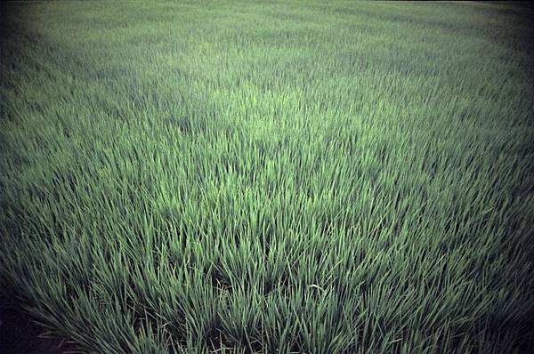 99810004a.jpg 99810004a.jpg