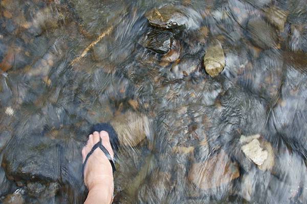 DSC03114.JPG DSC03114.JPG