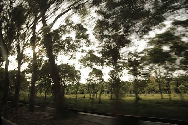 DSC03166.JPG DSC03166.JPG