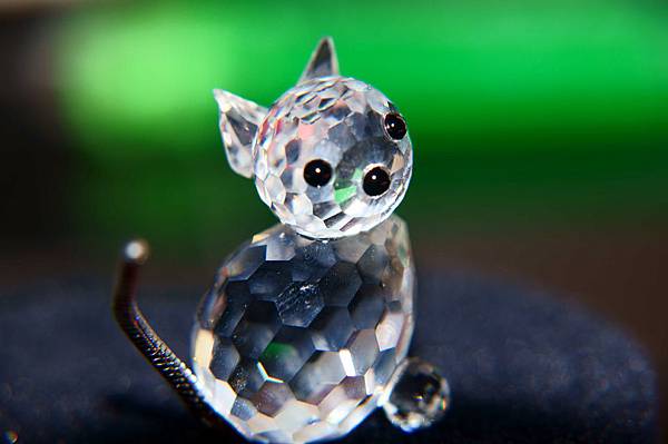 DSC03386.JPG DSC03386.JPG