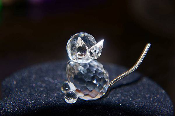 DSC03392.JPG DSC03392.JPG