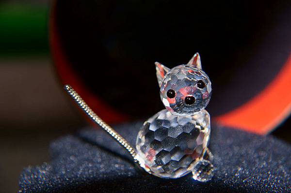 DSC03393.JPG DSC03393.JPG