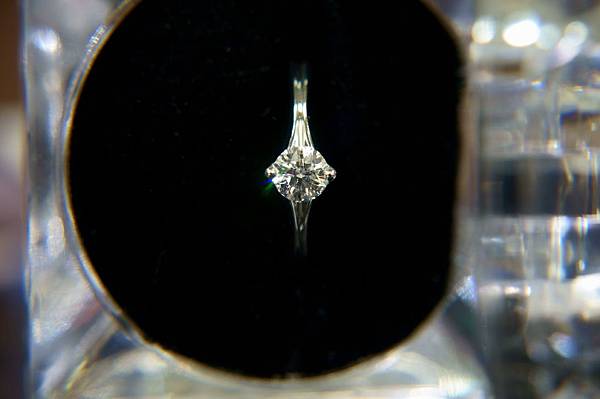 DSC03421.JPG DSC03421.JPG