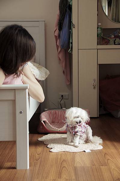 DSC06687-2 DSC06687-2