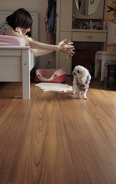 DSC06688-2 DSC06688-2