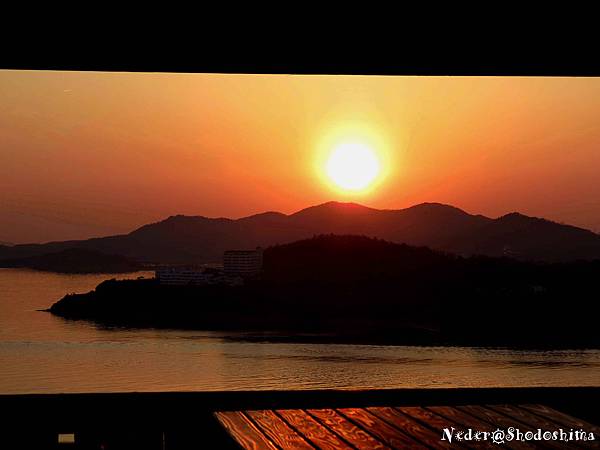 IMG_2816-1 IMG_2816-1