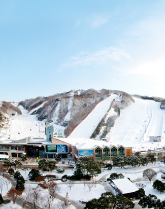 ski1.jpg