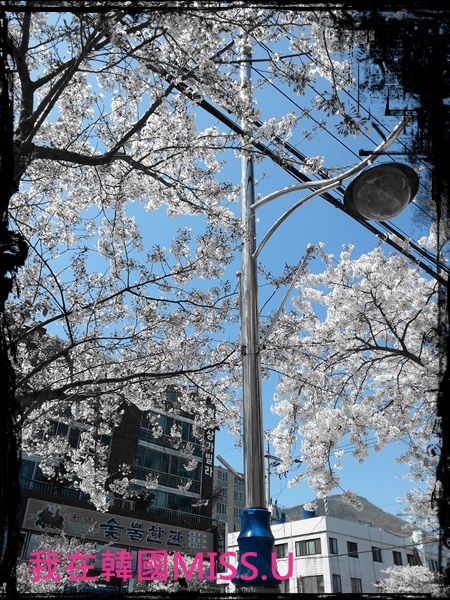 20130403_133242 20130403_133242