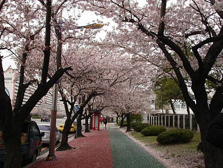 20090223_5a754a144582811110dbT7BHA7PyCA61.jpg.thumb