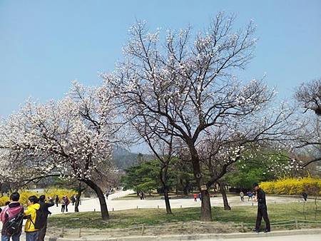 385740_10150690940469262_1131101414_n