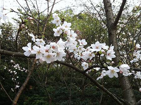 43ee5f8f8850086626a9c76daff0836e