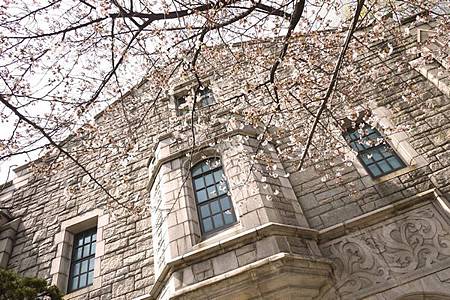 52074525201208081413205576772376280_005