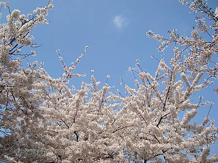 5800f0432f748bc55300ff9b5bef88cd