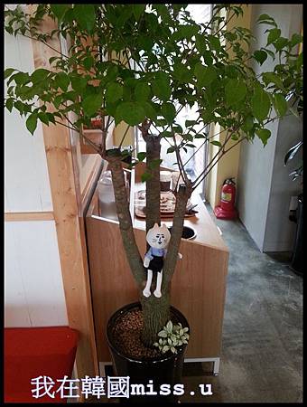 20140625_132423.jpg