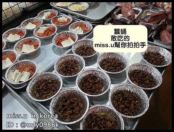 貝殼倉庫 貝殼倉庫