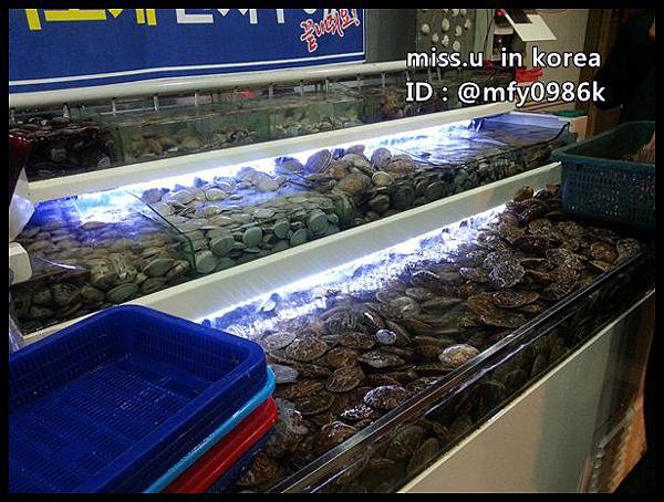 貝殼倉庫 貝殼倉庫