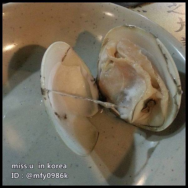 貝殼倉庫 貝殼倉庫