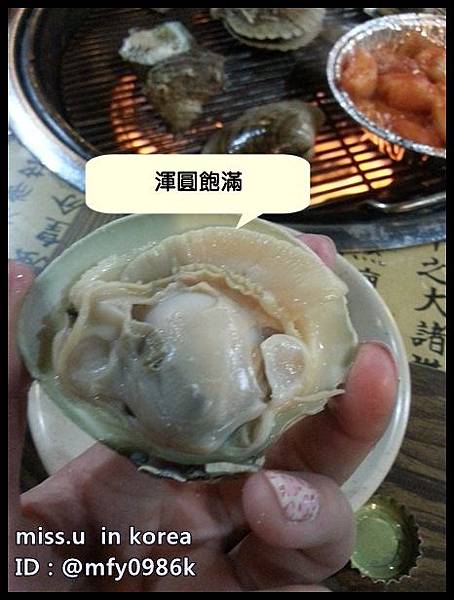 貝殼倉庫 貝殼倉庫